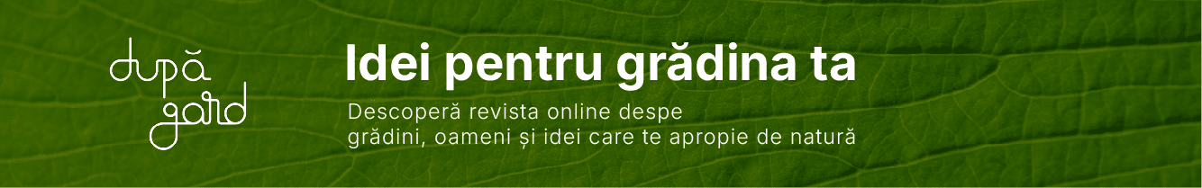 După Gard - Idei și inspirație pentru grădina ta